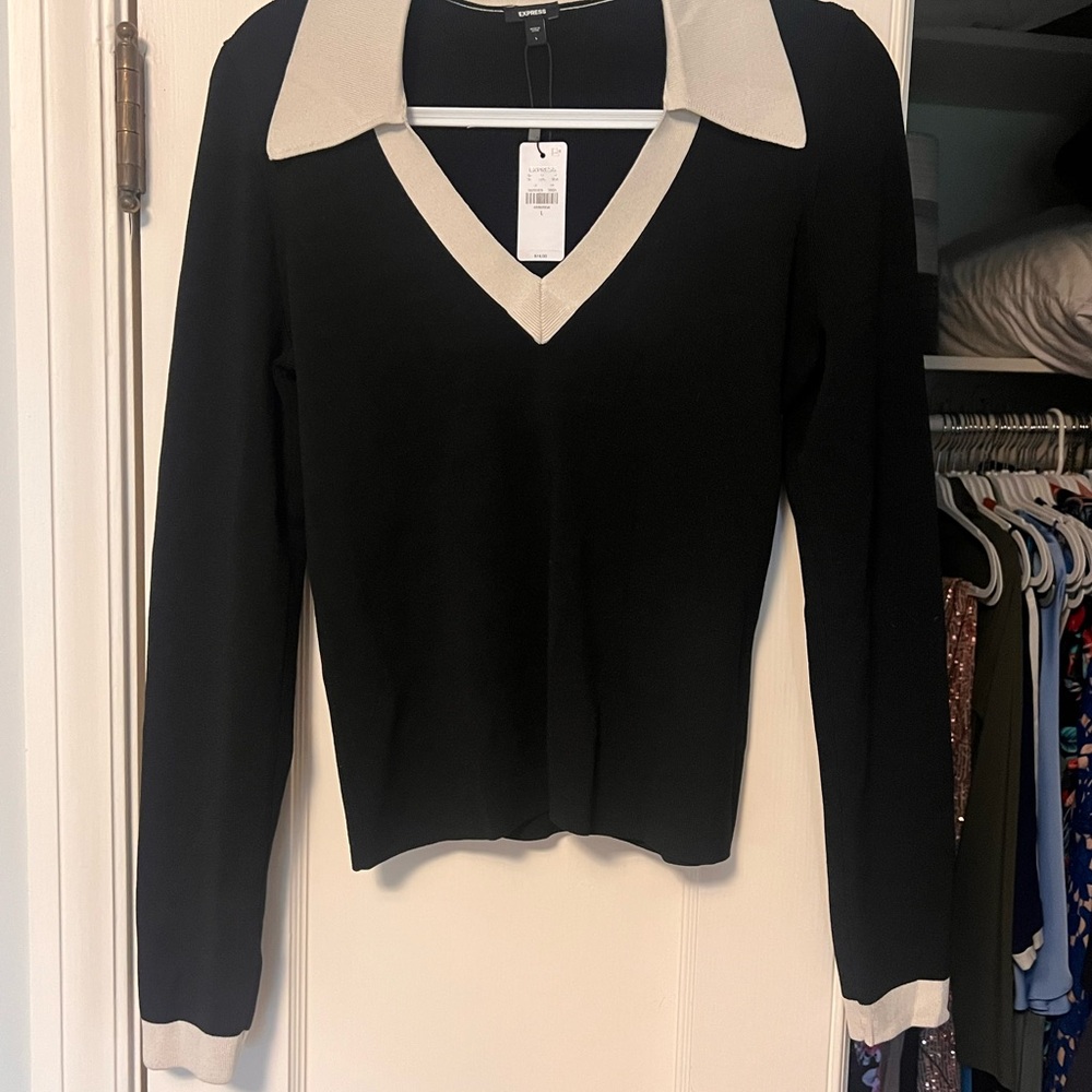Express Black and Cream V-Neck Sweater
